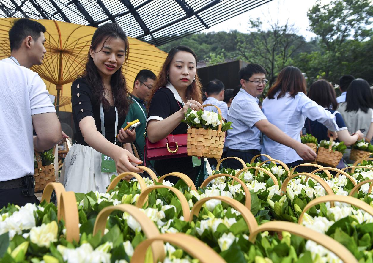 6月21日，2023响堂栀子花大会正式开幕，吸引众多市民来此游玩、赏花。 孙中元 摄