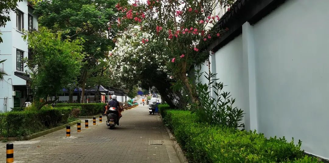 祝枝山曾住在巷内