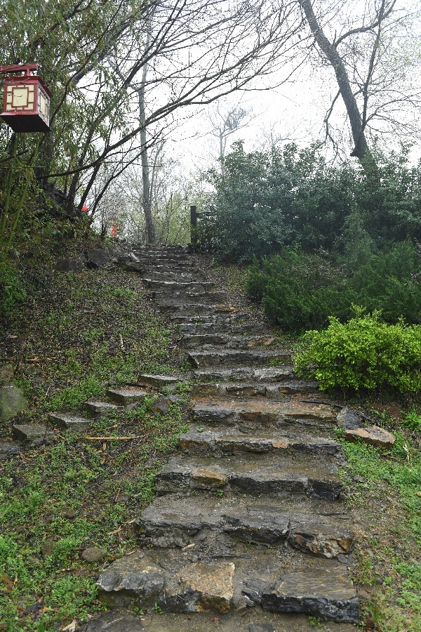 https://region-jiangsu-resource.xuexi.cn/image/1006/process/3de3392870324271879a7bbbe58c714e.jpg