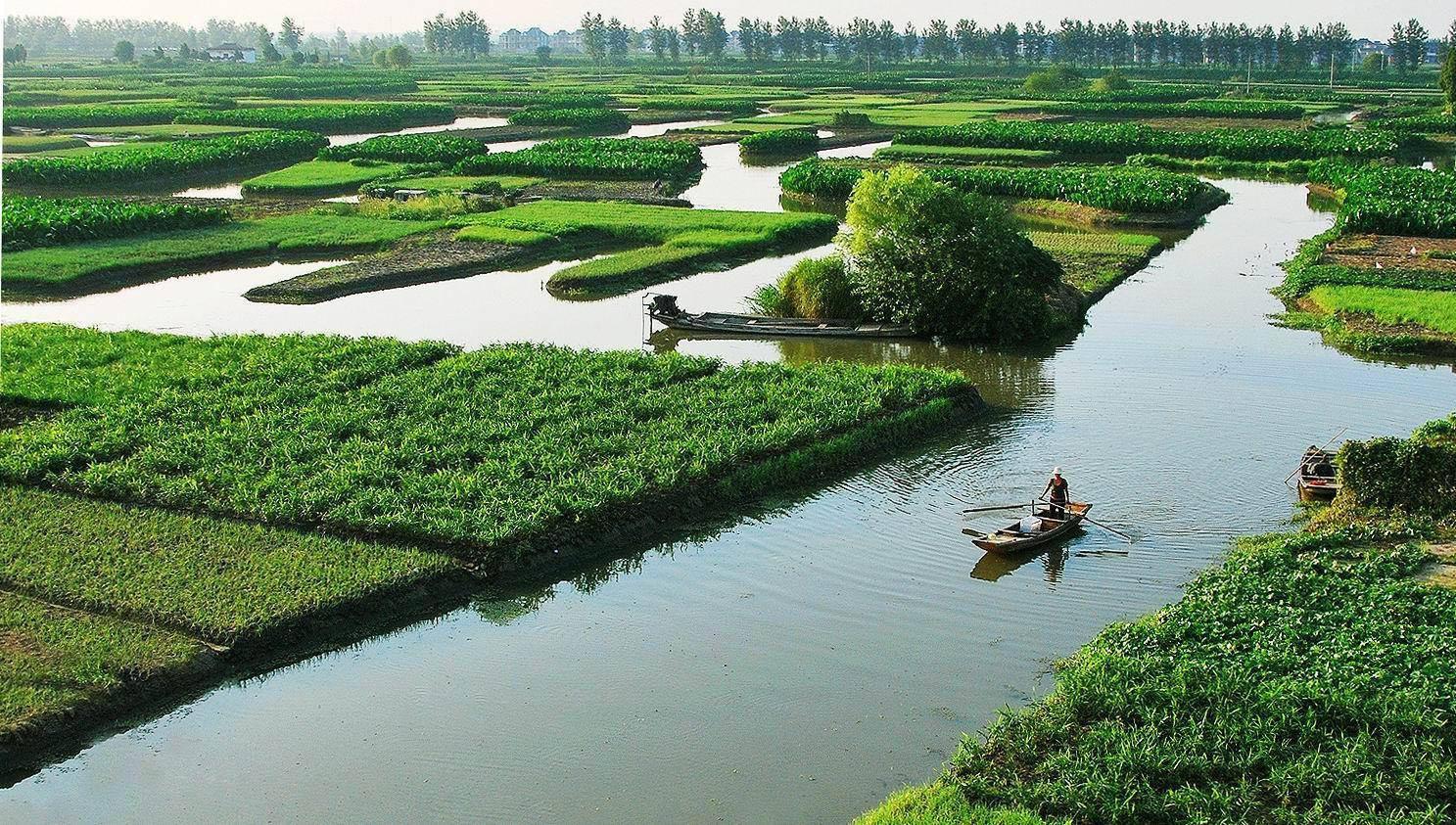 82593650-3eb0-49a9-b170-6df6d1f8f4b5.jpeg 82593650-3eb0-49a9-b170-6df6d1f8f4b5.jpeg