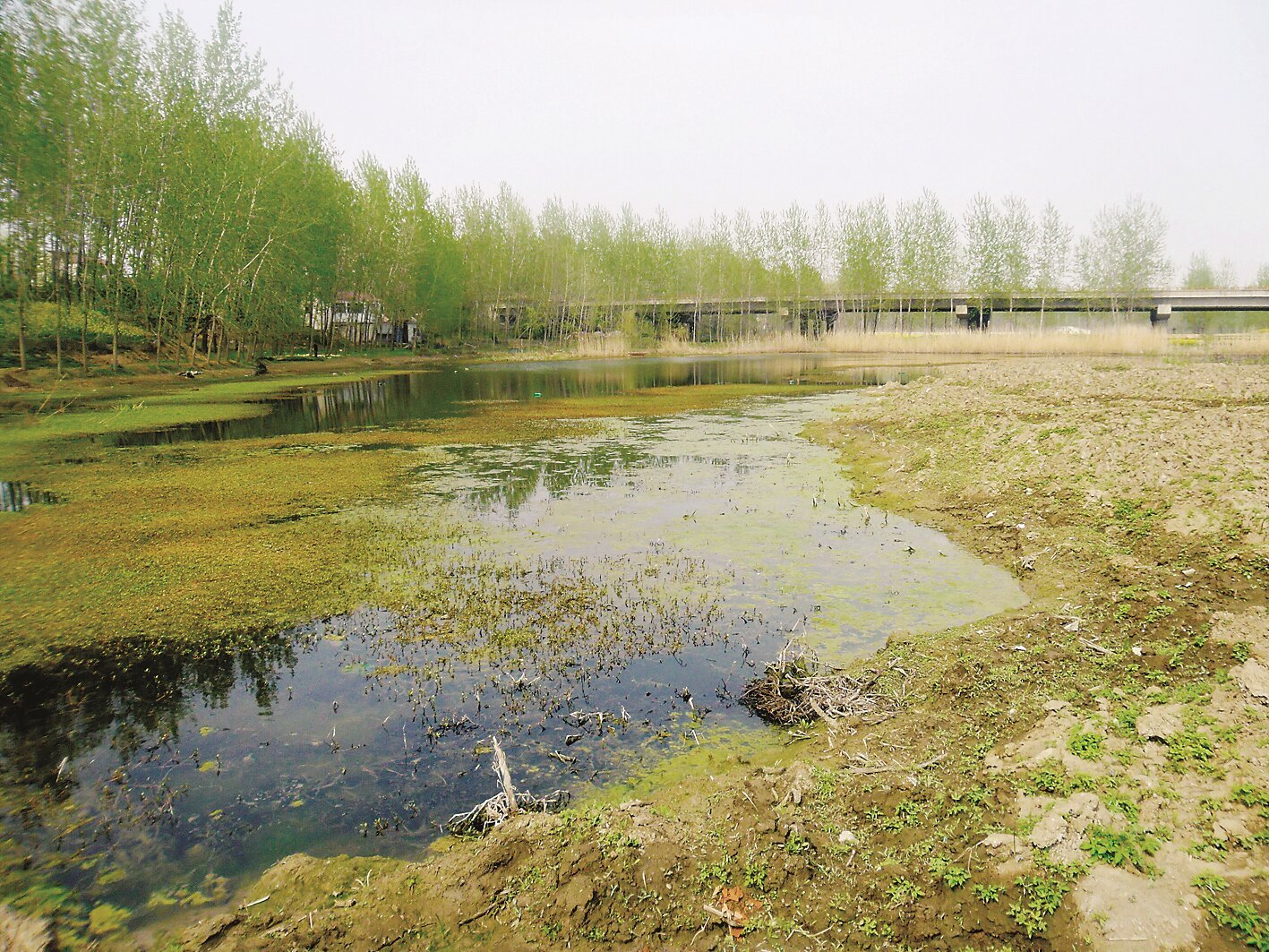 淮阴区马头镇的“塘河”遗址