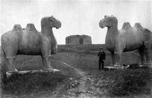 明孝陵神道石骆驼-19世纪末 图源：明孝陵博物馆