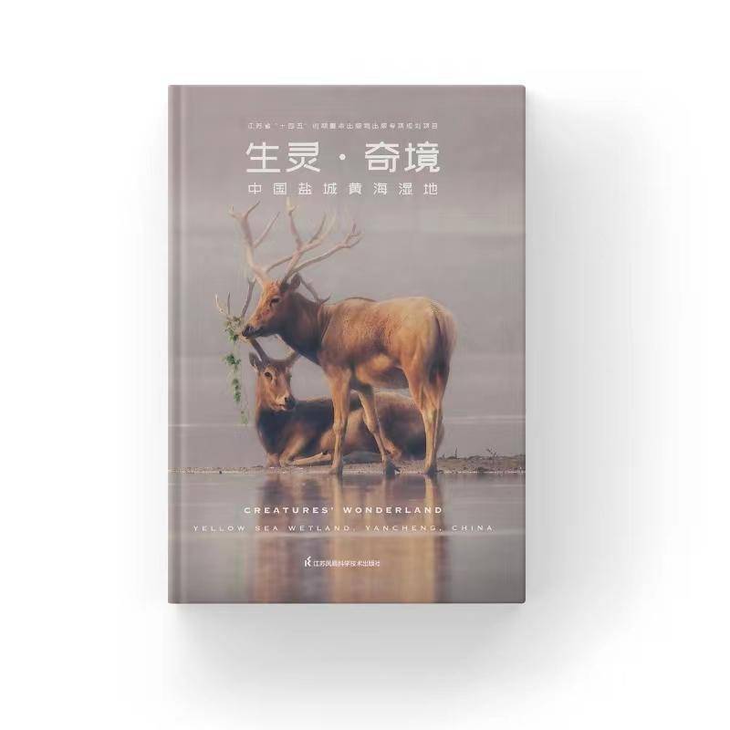 图书封面