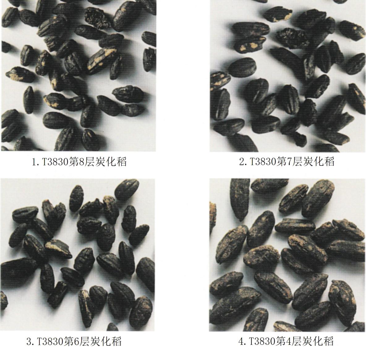 eef9ff49-68bf-42cb-ba19-3c2f3dbfed7c.jpg