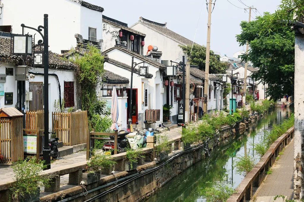 身处大柳枝巷，身处江南人家的梦中