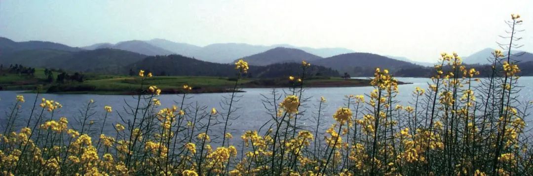 横山远景