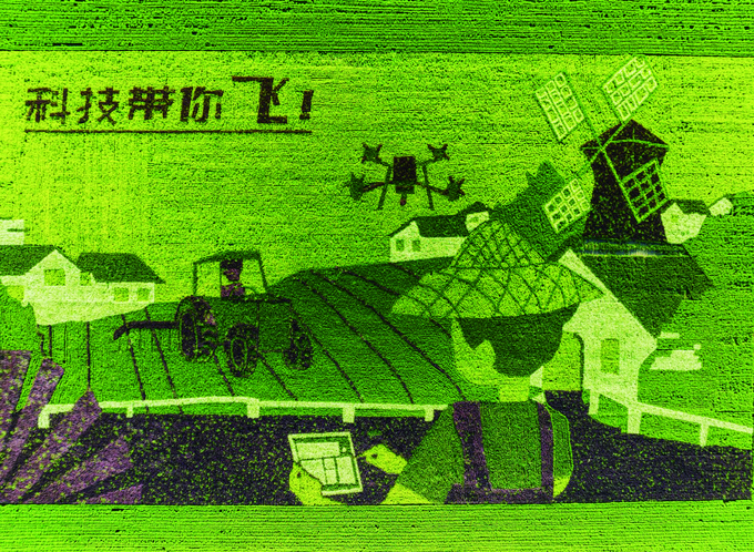 7aef0290-32c8-4b17-830a-d17797eb23d0.jpg