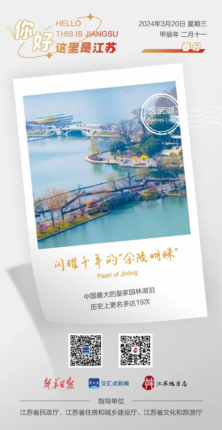 d7ff83ea-dc2e-44e0-8016-135ae8ed6724.jpg