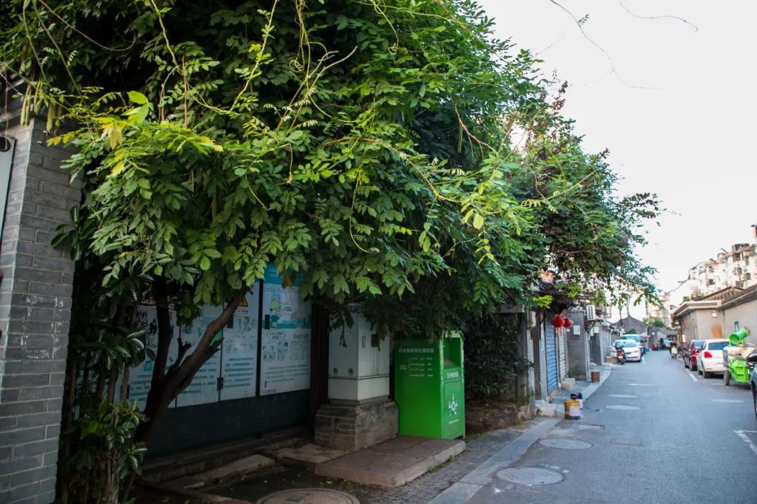 小草巷（黄培 江燕 摄）