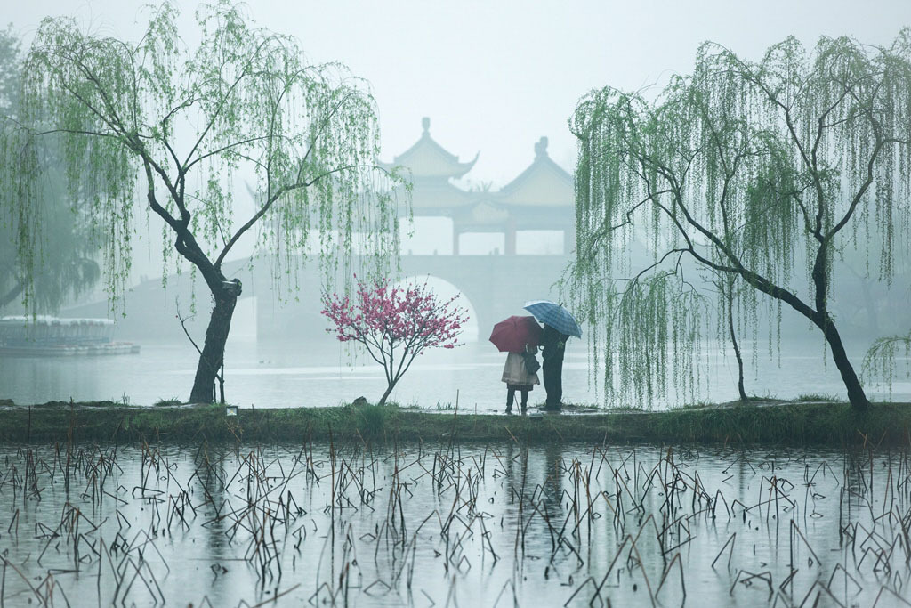 摄影：陈建新