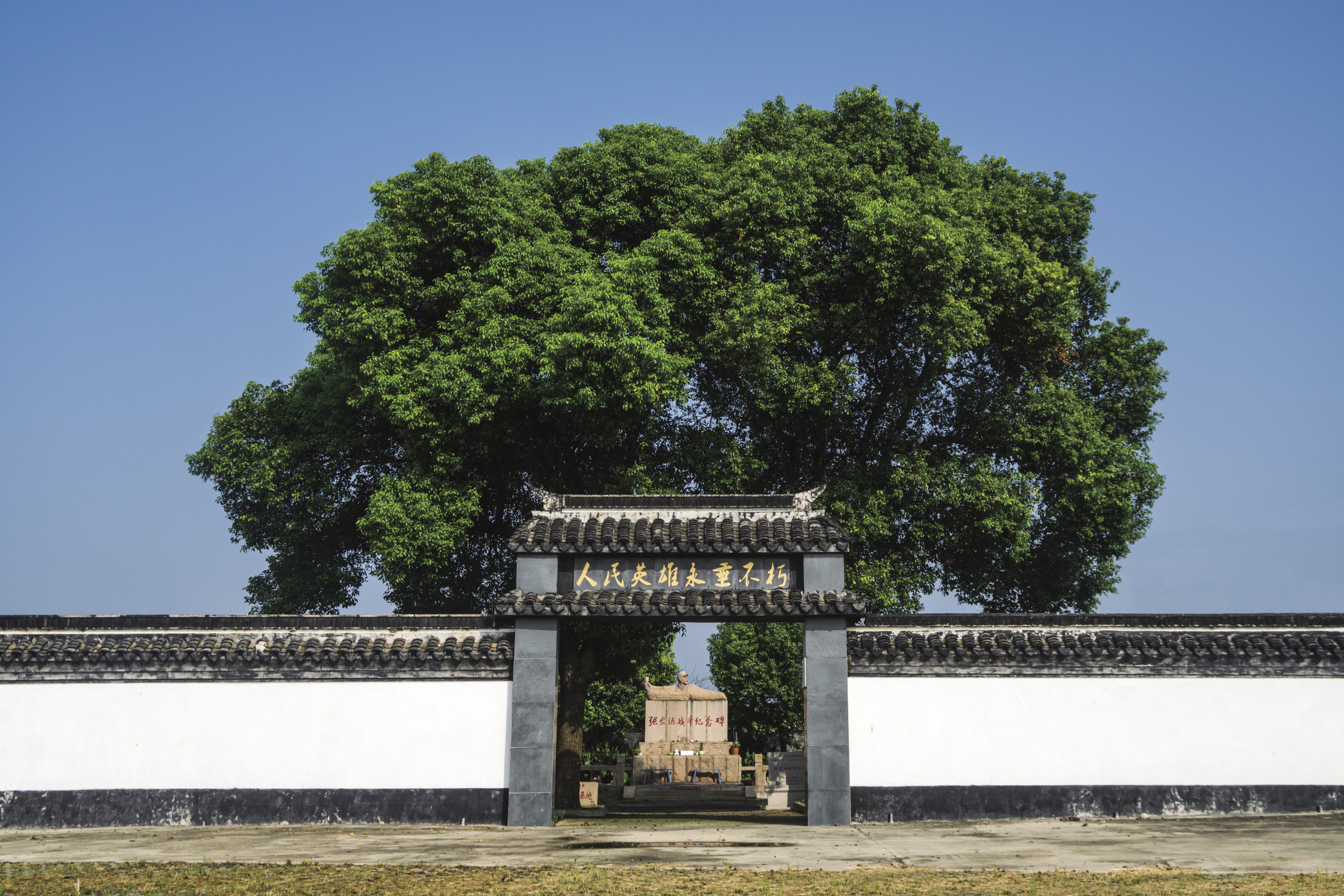 d75f6fdf-758a-4c6b-bab0-6d8964de550a.jpeg