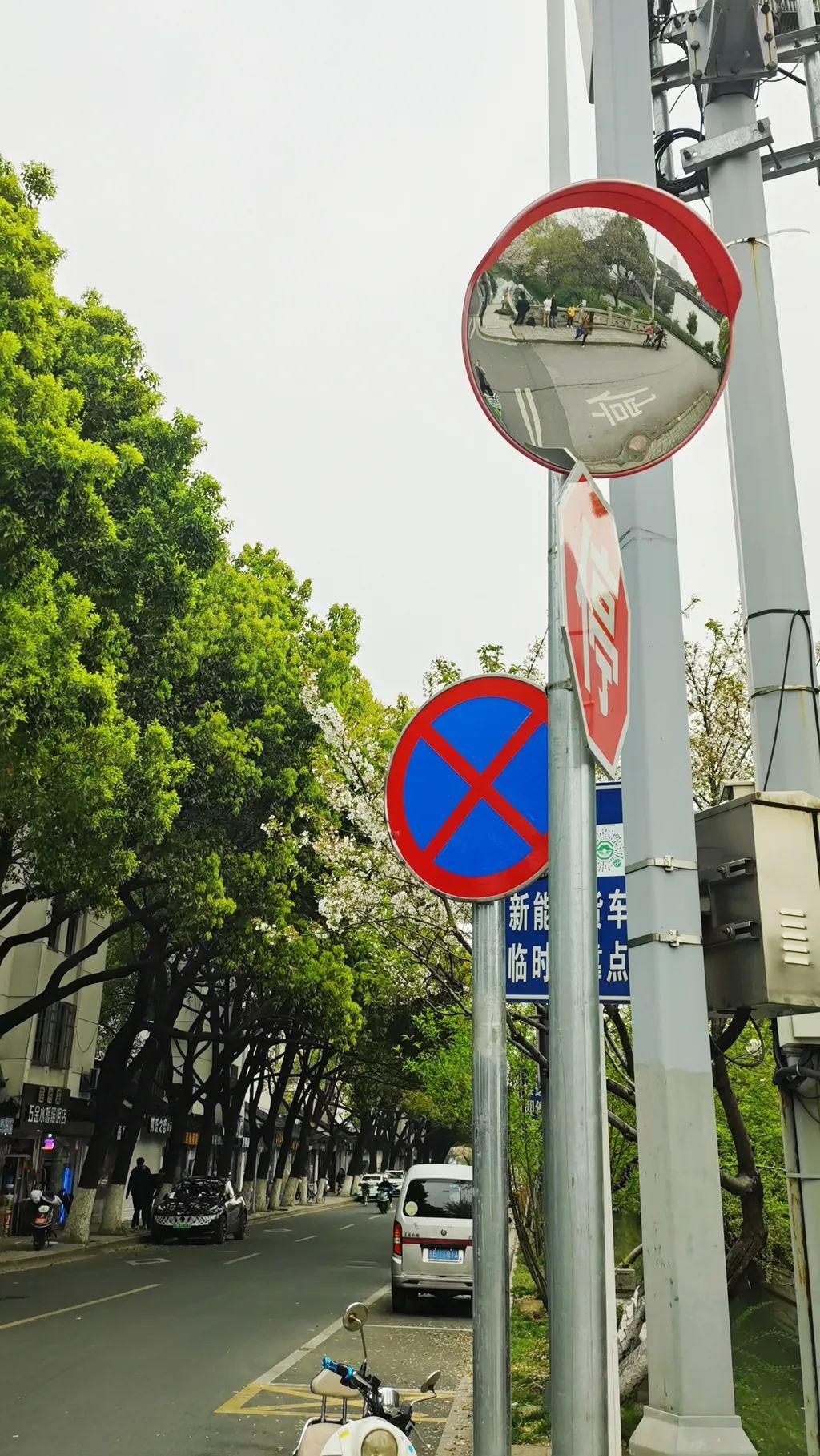 花木繁茂的吉庆街