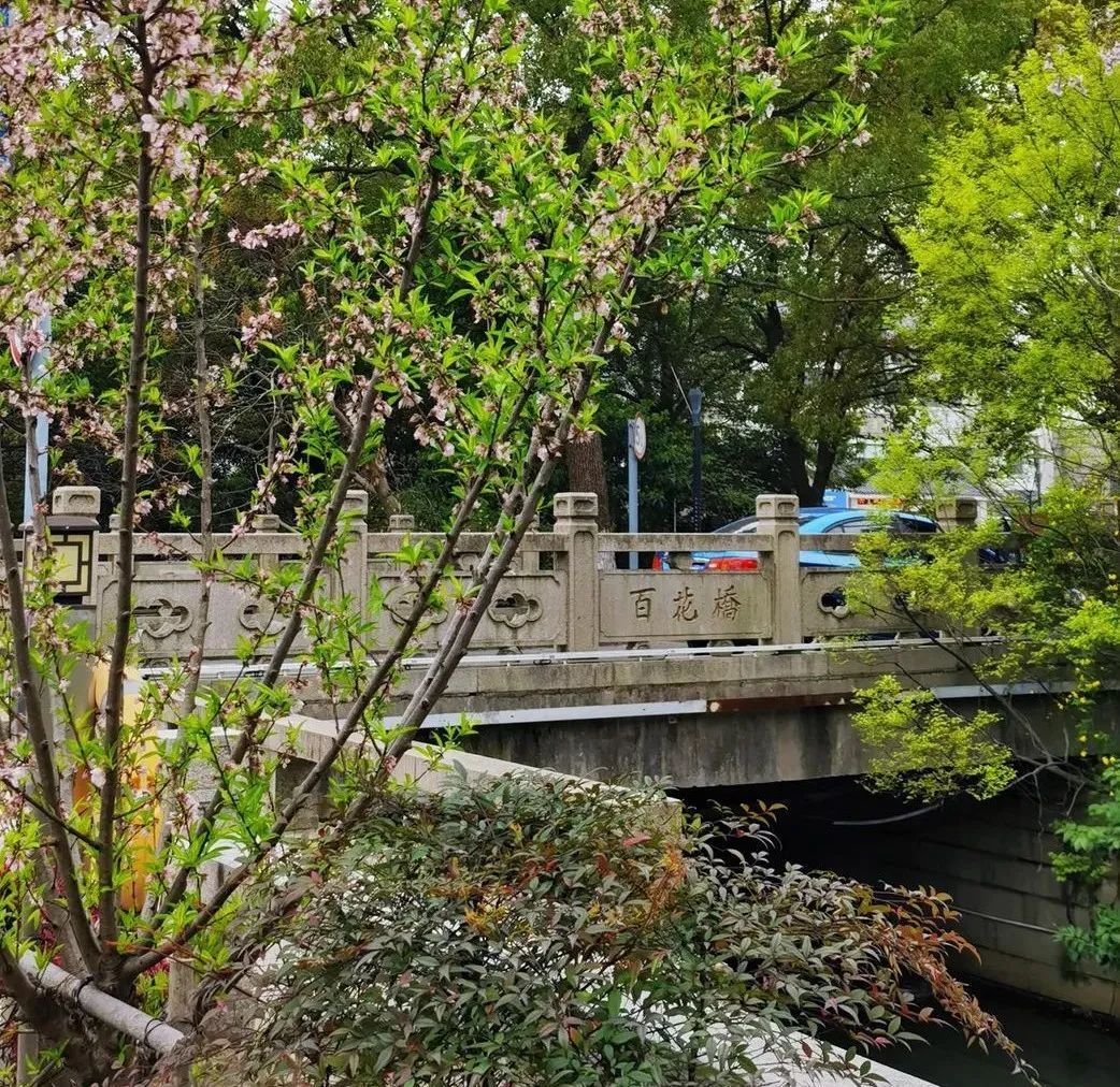 通往百花洲的“路标”百花桥