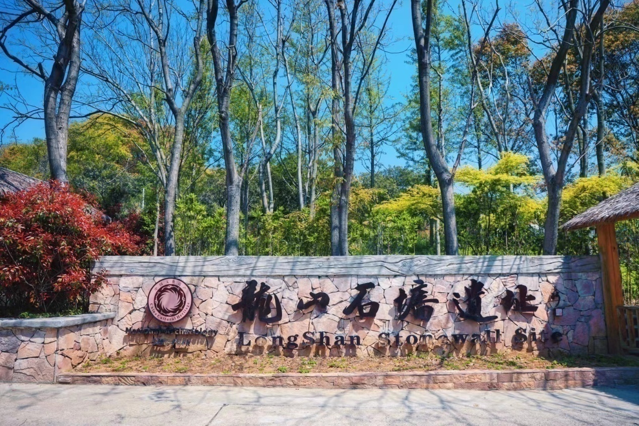 陈斌 摄