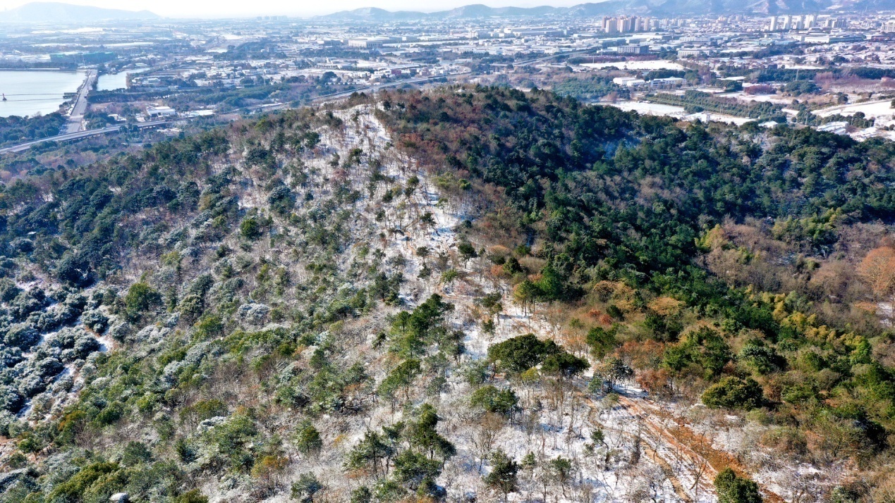 陈斌 摄