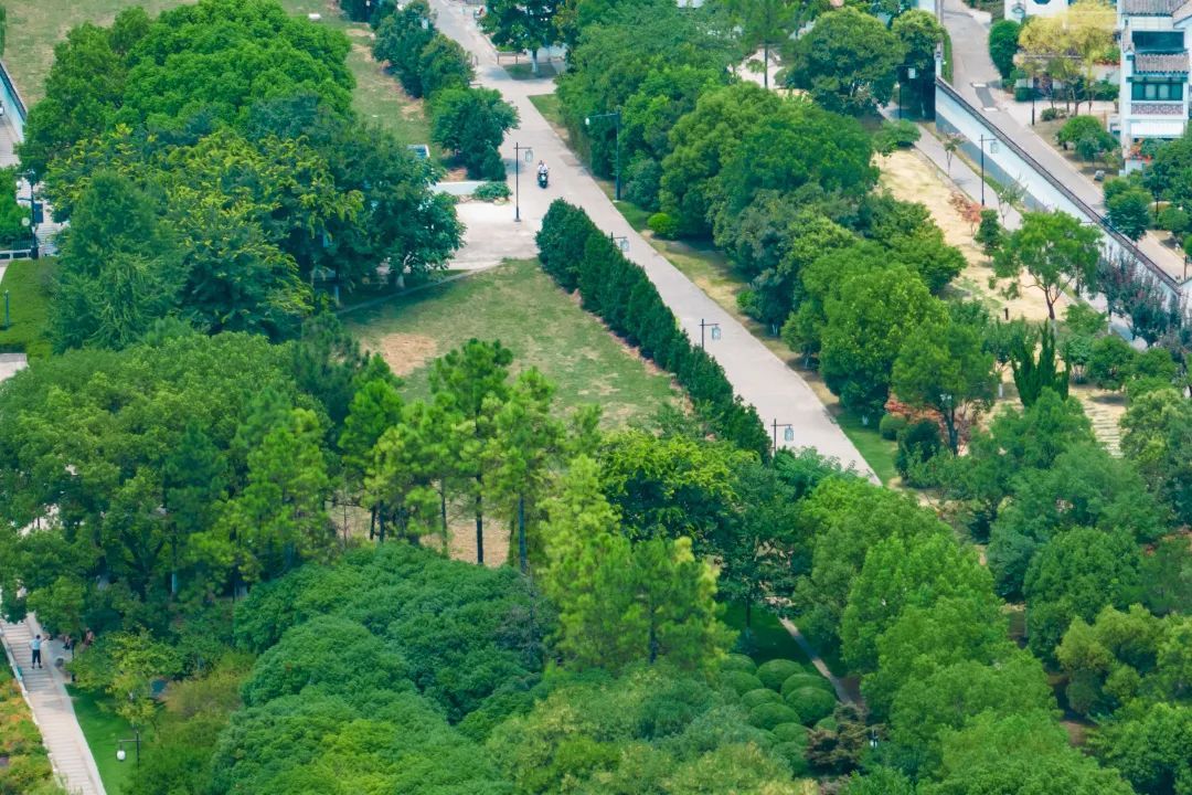 https://region-jiangsu-resource.xuexi.cn/image/1006/process/5bb33dcb0096407c83c5dd3e7aa7a8d5.jpg