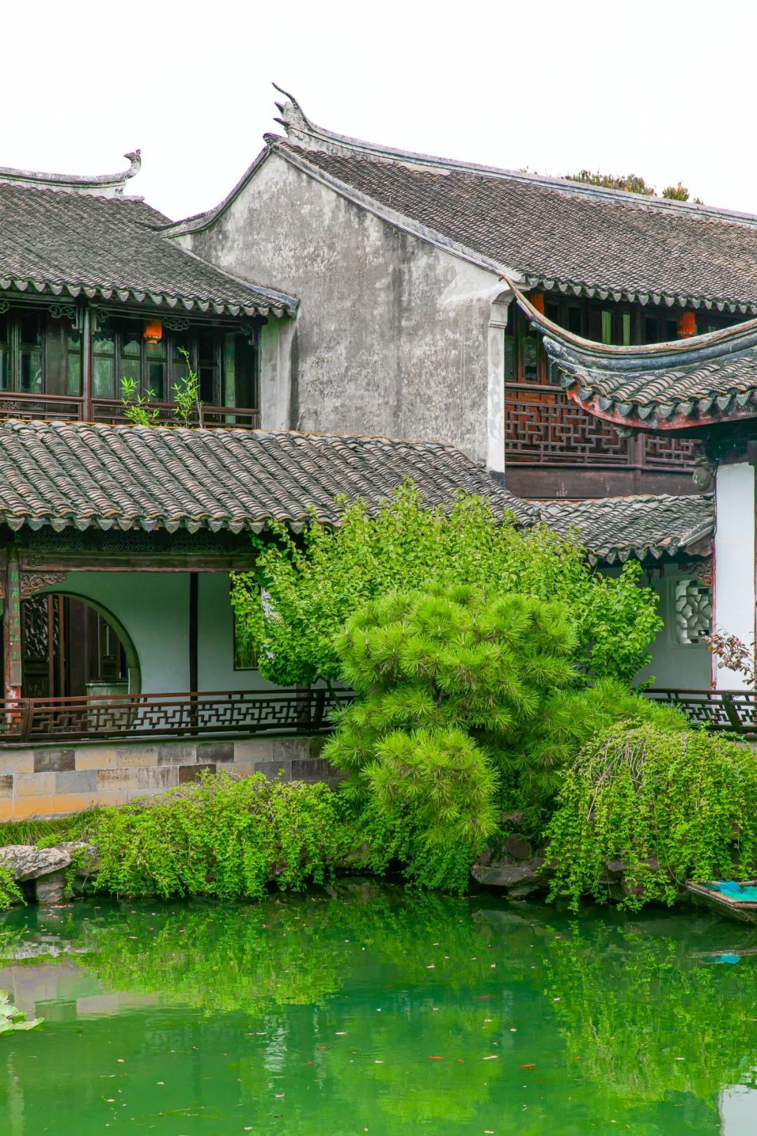 https://region-jiangsu-resource.xuexi.cn/image/1006/process/f39593bad9eb4936bf7219842734f4ef.jpg