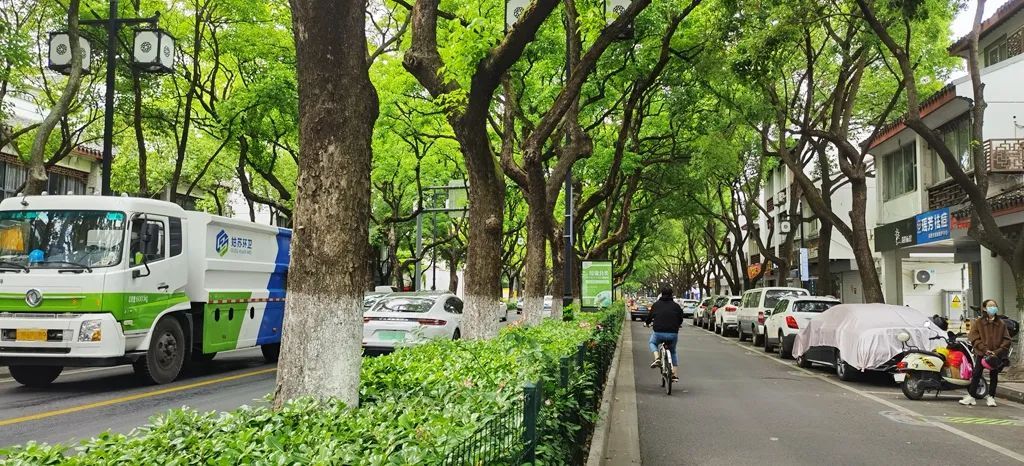中街路