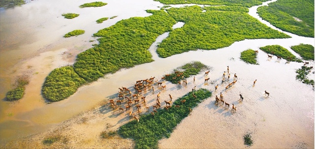 https://region-jiangsu-resource.xuexi.cn/image/1006/process/f7fedf52bb7845bd8806ea32541eef0b.jpg