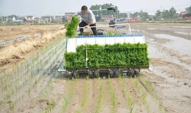 https://region-jiangsu-resource.xuexi.cn/image/1006/upload/202207/a11a2fa0fc34482c9bb594bd0c6b063c.png